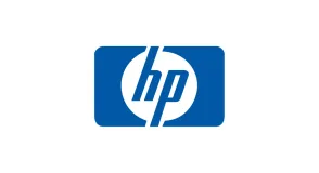 Partner 21